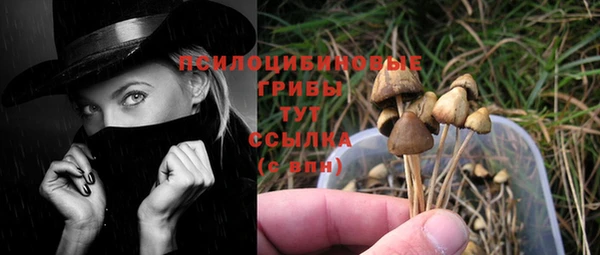 прущая мука Липки