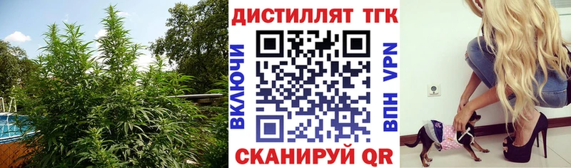 ТГК Wax  Купить где  Морозовск 