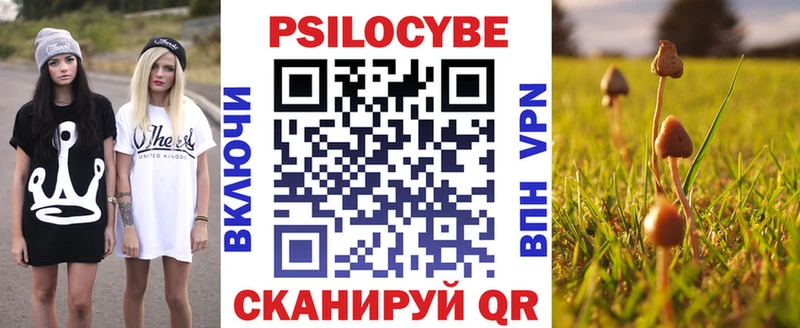Псилоцибиновые грибы MAGIC MUSHROOMS  Купить закладки  Морозовск 